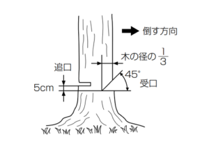 HiKOKI　コードレスチェンソー　CS 3630DA　立ち木の伐採1